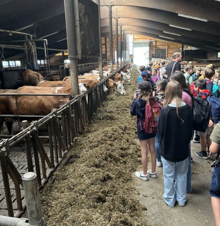 Ein Tag auf dem Bauernhof: Die Klassen 5b und 5d erkunden die Landwirtschaft bei Familie Geyer