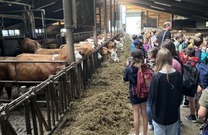 Stall des Bauernhofs mit der Schulklasse