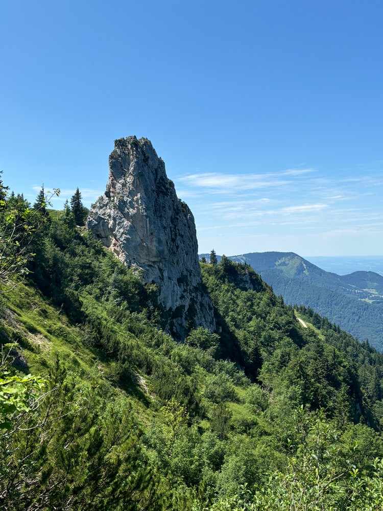 Bergpanorama am Chiemsee