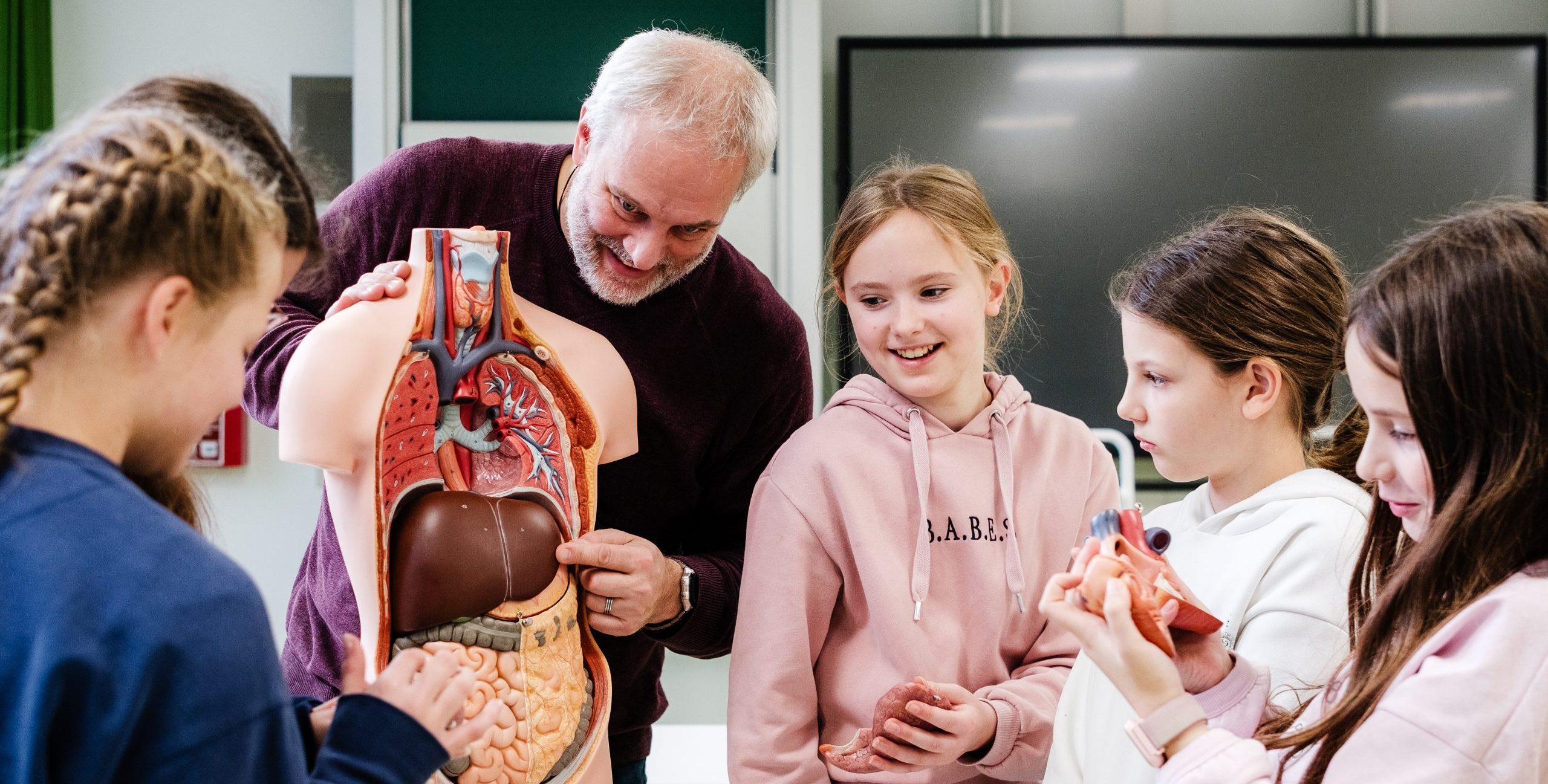 Lehrer erklärt Schülerinnen menschliche Organe anhand von Torsomodell