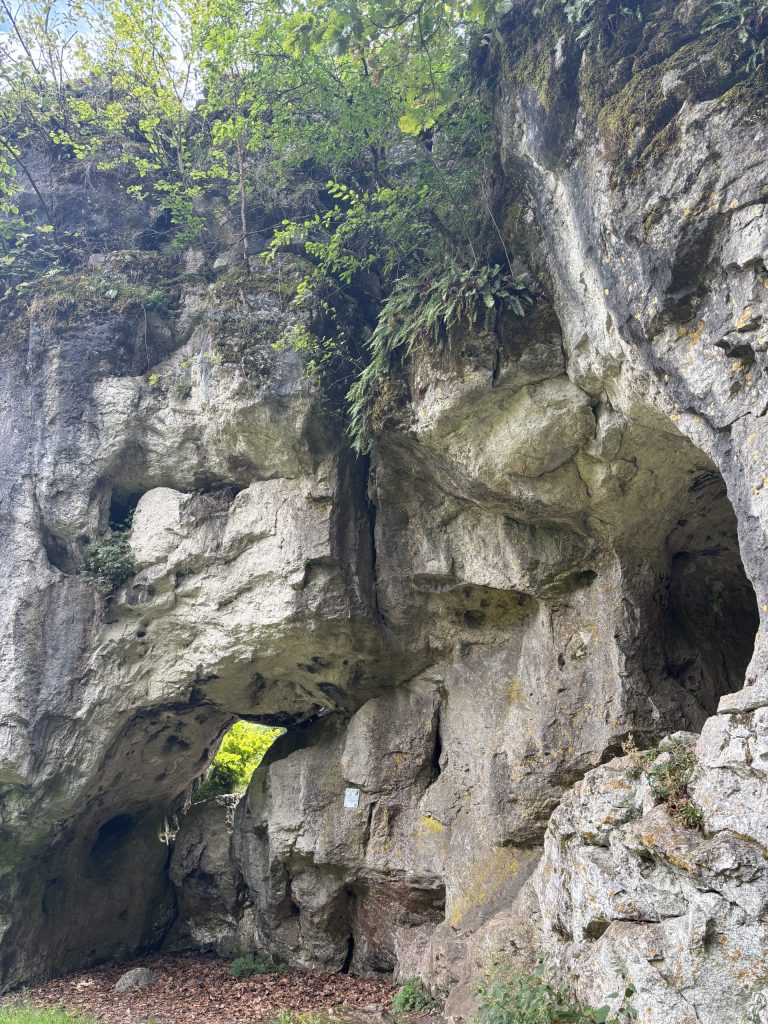 Landschaftsaufnahme aus dem Schwabtal