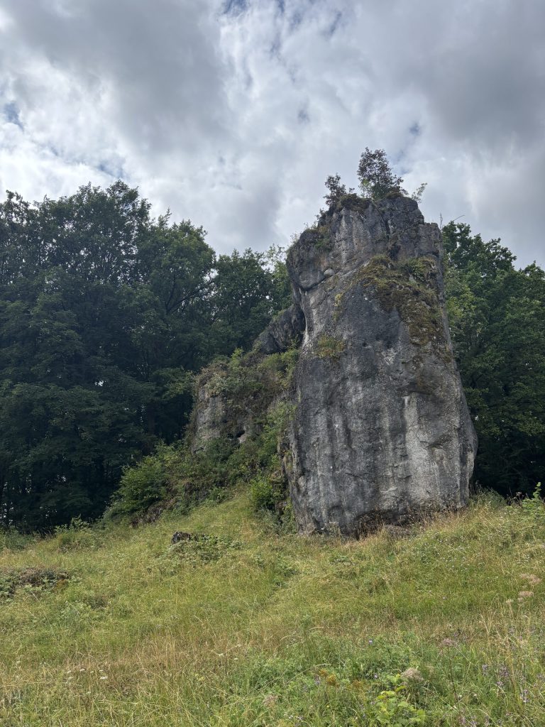 Landschaftsaufnahme aus dem Schwabtal