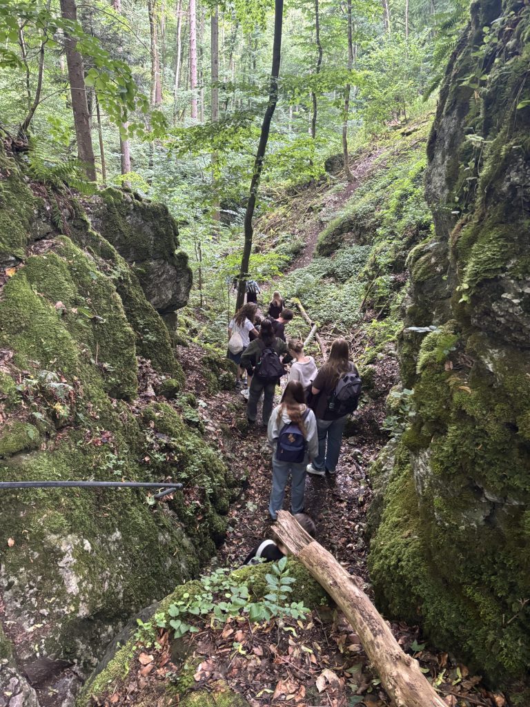 Schülerinnen und Schüler wandern durch Wald