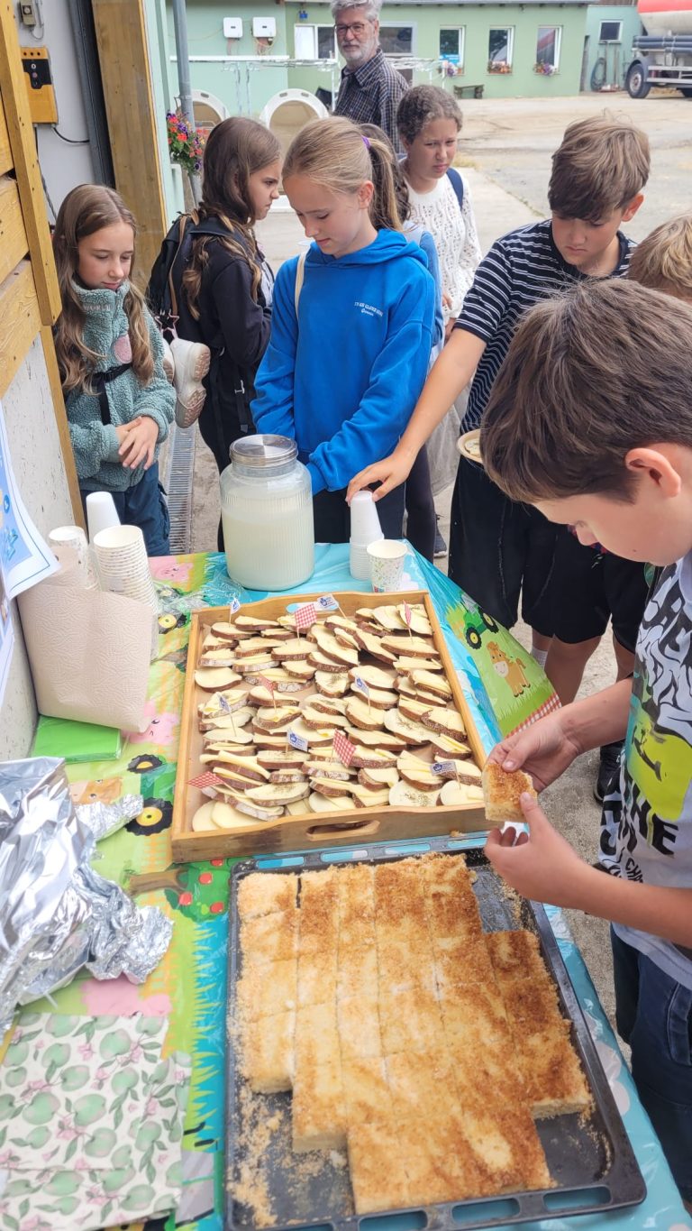 Schülerinnen und Schüler an einem Tisch mit Buffet aus Käse, Kuchen und Milch