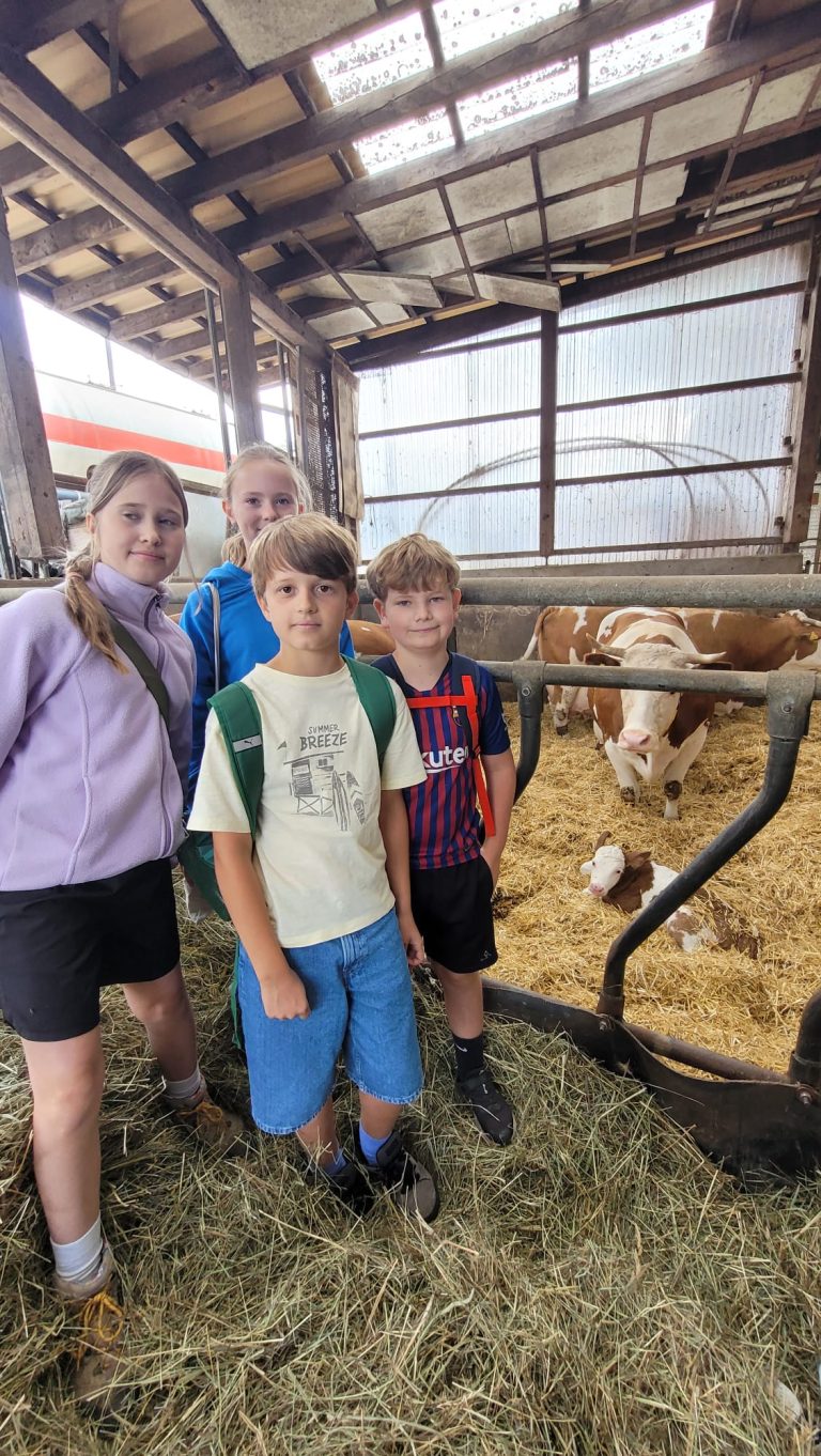 Schülerinnen und Schüler im Kuhstall
