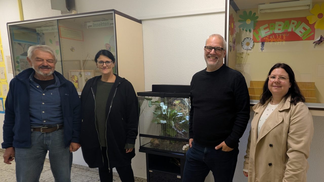 Neues Zuhause für die Stabschrecken